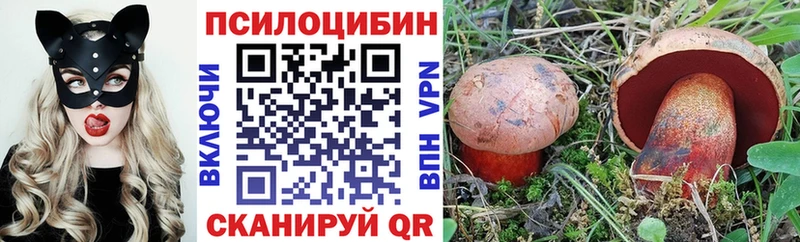 купить наркоту  Ирбит  Галлюциногенные грибы мицелий 